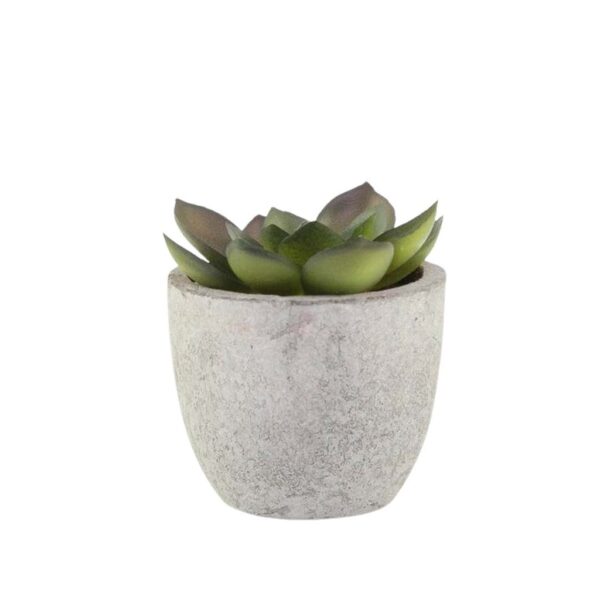 CAMAS – Artificial Succulent Plant in Pulp Pot