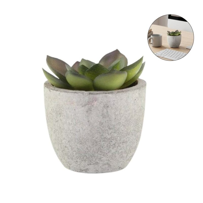 CAMAS – Artificial Succulent Plant in Pulp Pot